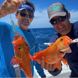 Blueline Tilefish Rig,  8/0 Circle Hooks